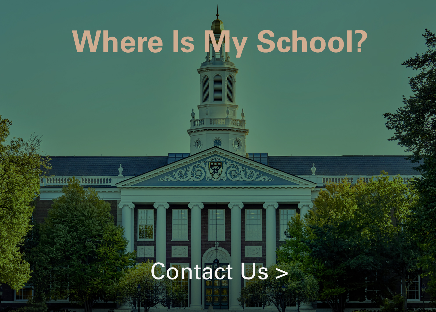 Where is my school?