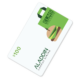 Product image of payment card for $100 with the Elms College logo on it.